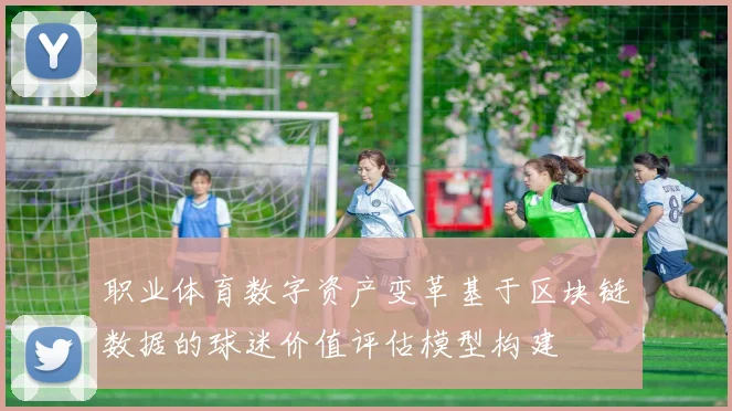 职业体育数字资产变革基于区块链数据的球迷价值评估模型构建